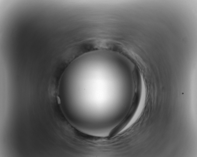 X0000088720513200706071622