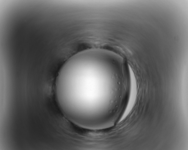 X0000088720515200706071622