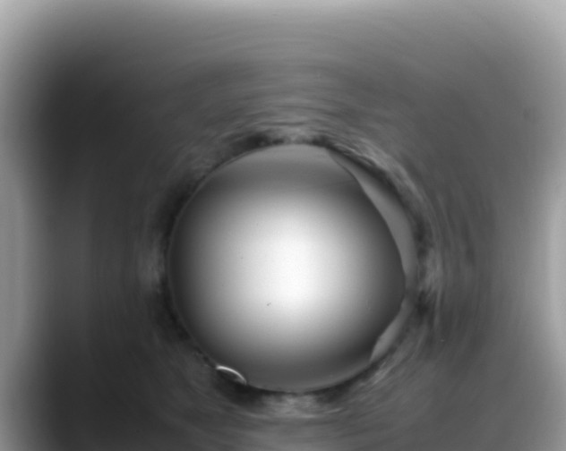 X0000088720517200706071622