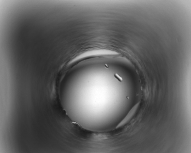 X0000088720520200706071622