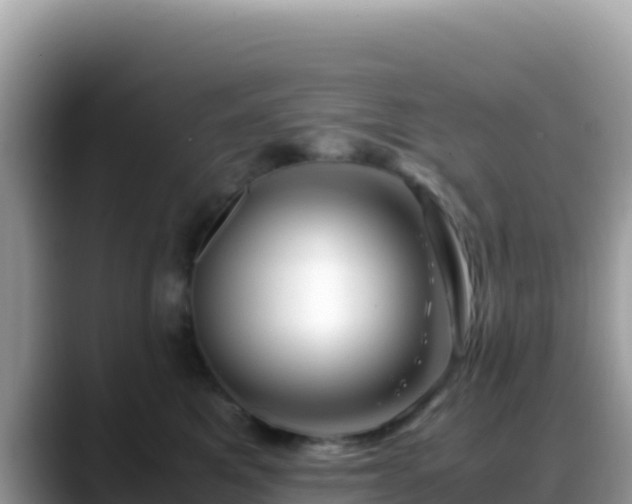 X0000088720521200706071622