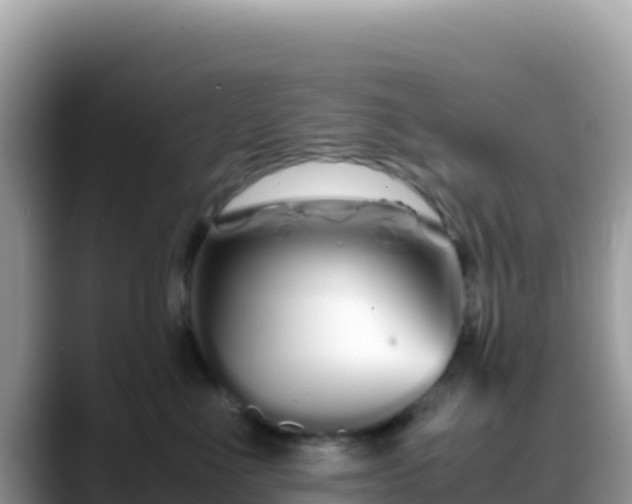 X0000088720523200706071622