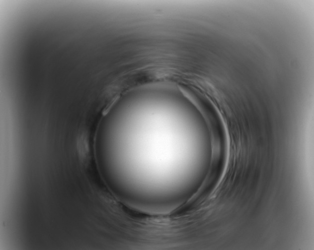X0000088720524200706071622