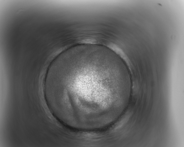 X0000088720529200706071621