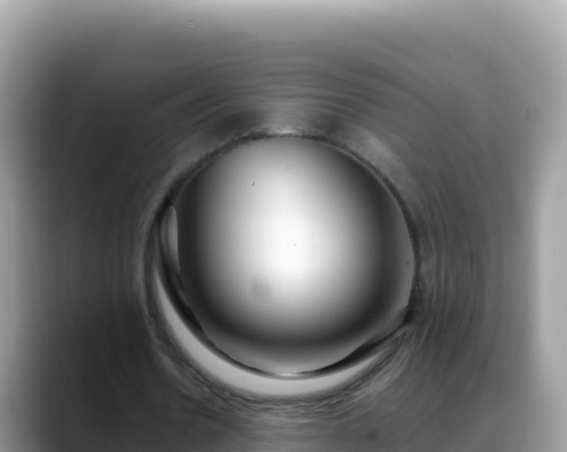 X0000088720530200706071622