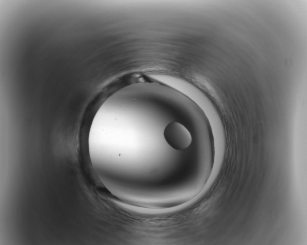 X0000088720532200706071622