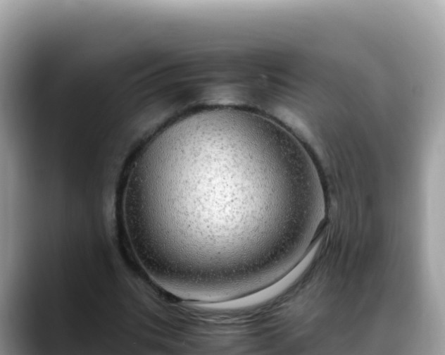 X0000088720535200706071622