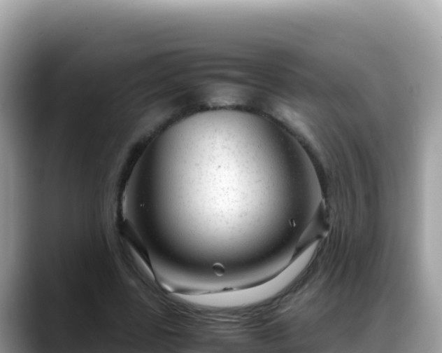 X0000088720539200706071622