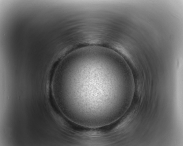 X0000088720542200706071622