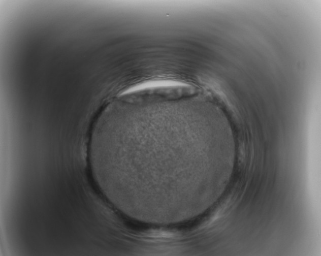 X0000088720545200706071622