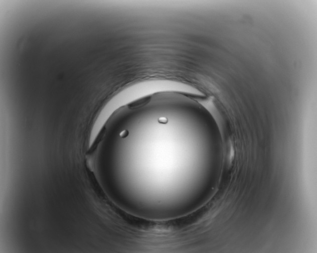 X0000088720546200706071622