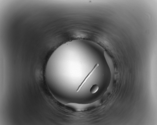 X0000088720547200706071622