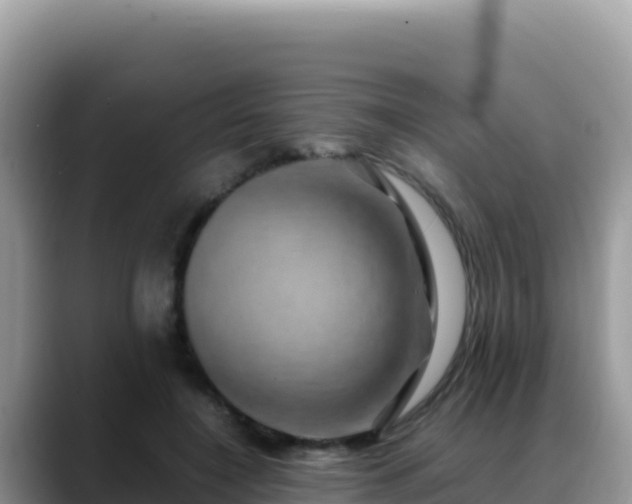 X0000088720548200706071622