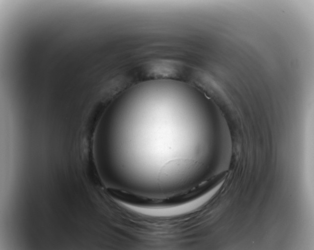 X0000088720551200706071622