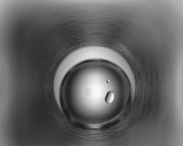 X0000088720552200706071622