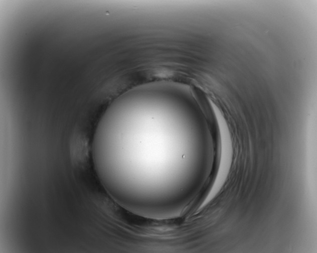 X0000088720555200706071622