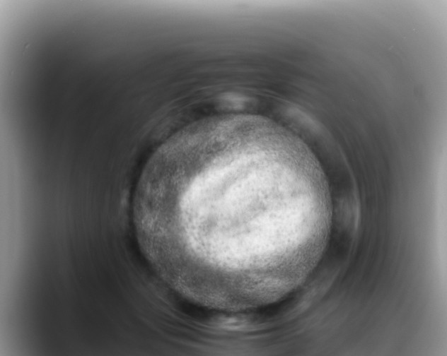 X0000088720557200706071622