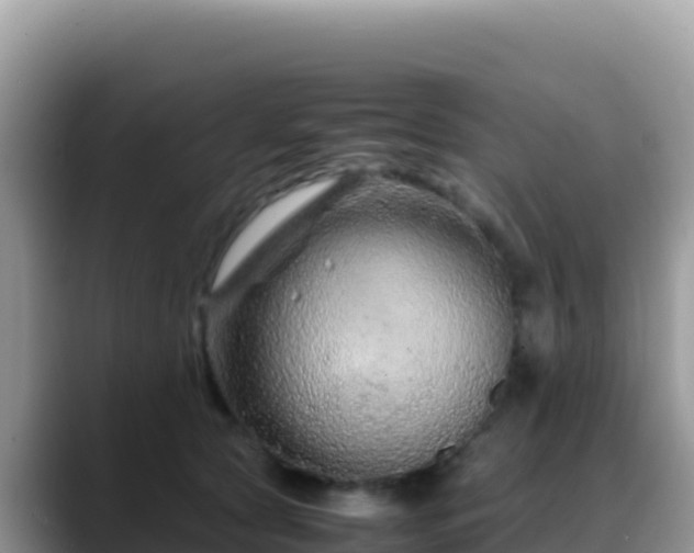 X0000088720561200706071622