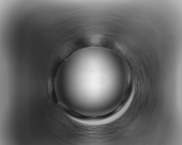 X0000088720562200706071622