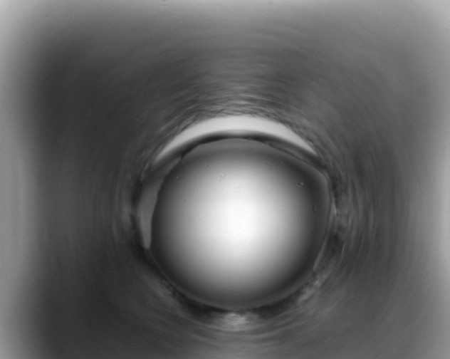 X0000088720566200706071622