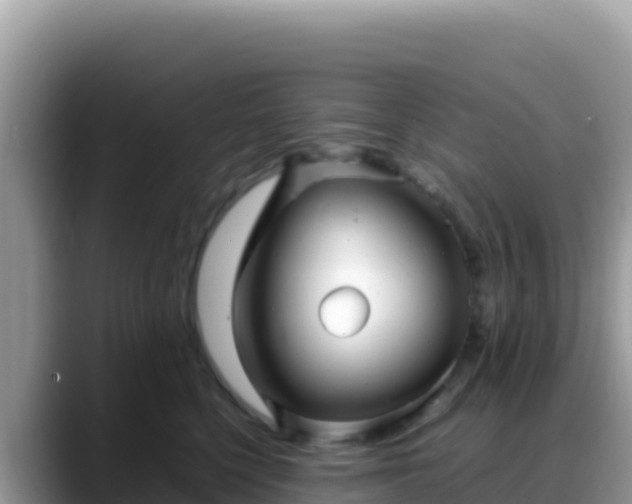 X0000088720568200706071622