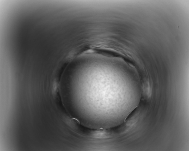 X0000088720574200706071622