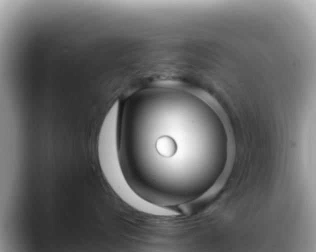 X0000088720576200706071622
