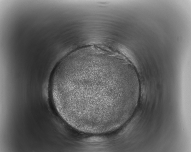 X0000088720578200706071621