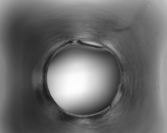 X0000088720583200706071621