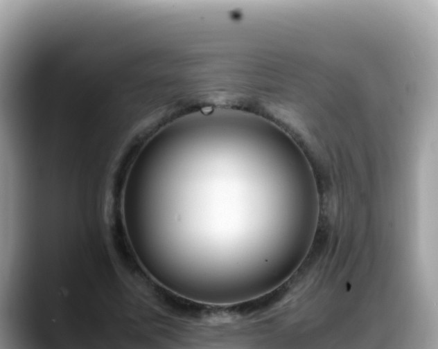 X0000088720587200706071621