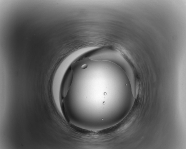 X0000088720589200706071621