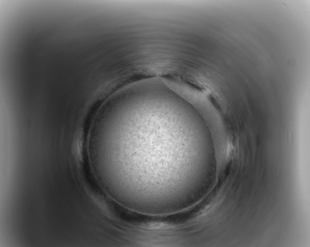 X0000088720590200706071621