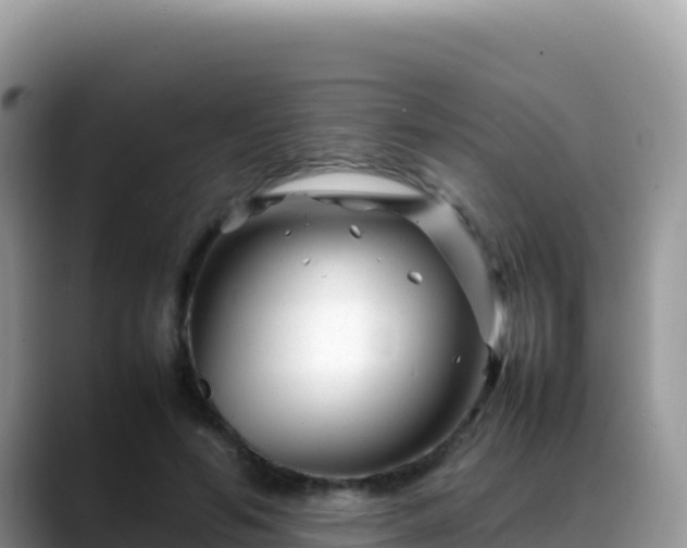 X0000088720594200706071621