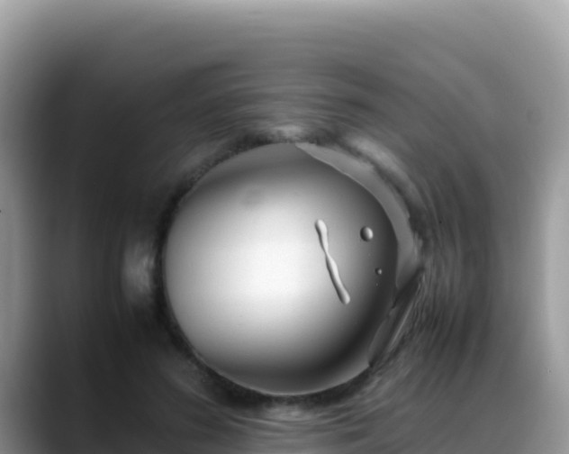 X0000088720596200706071621