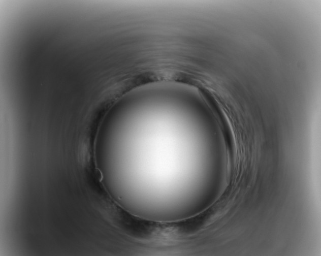 X0000088720599200706071621