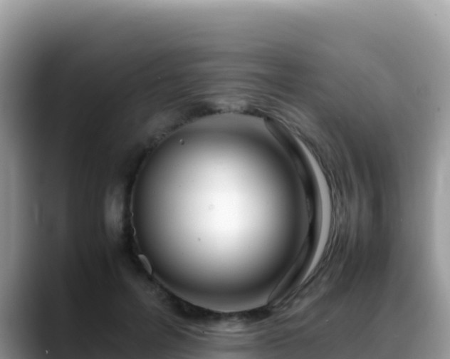 X0000088720600200706071621