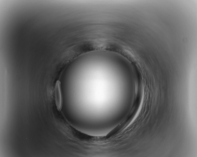 X0000088720601200706071621
