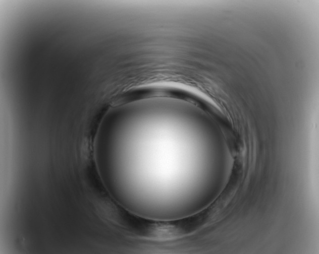 X0000088720605200706071621