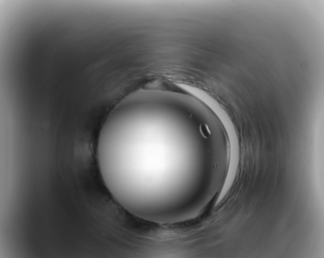 X0000088720608200706071621