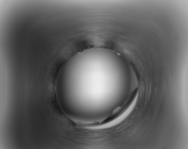 X0000088720609200706071621