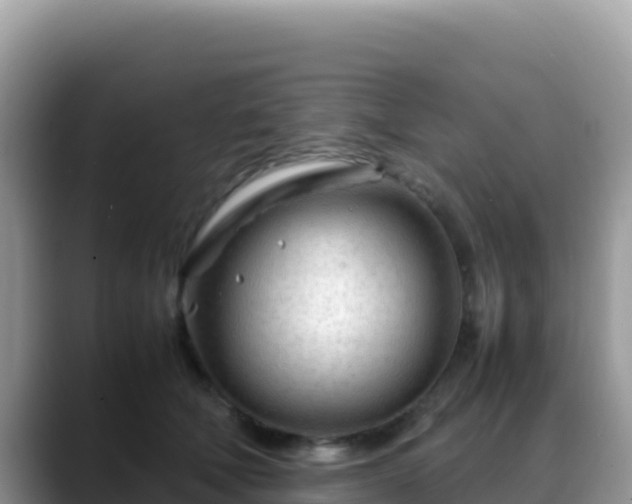 X0000088720610200706071621