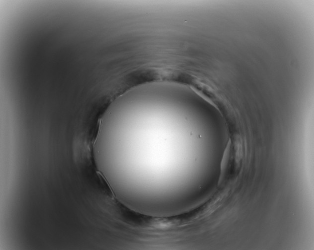 X0000088720613200706071621
