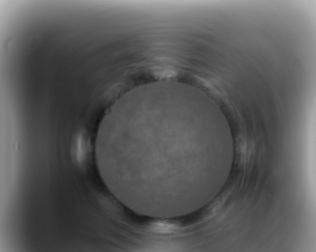 X0000088720614200706071621