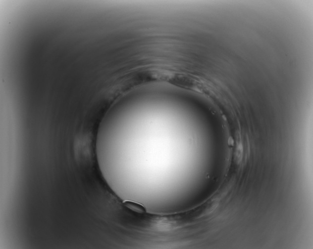 X0000088720616200706071621