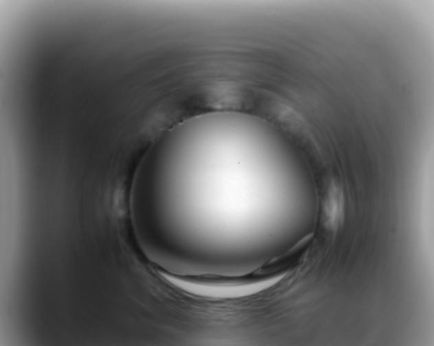 X0000088720620200706071621
