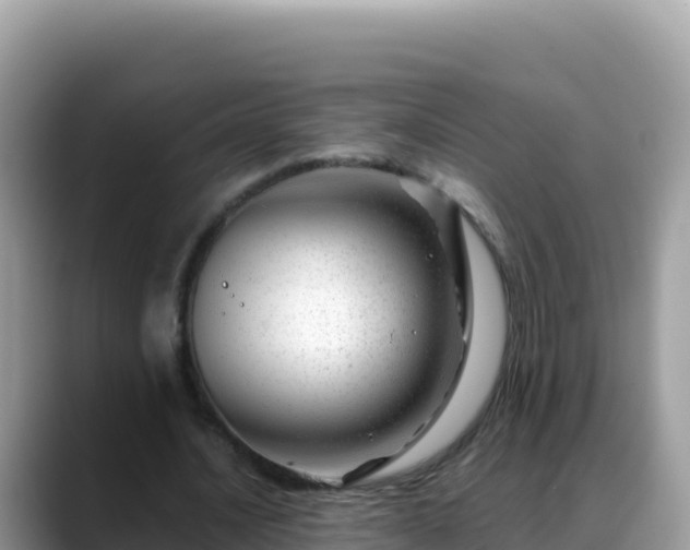 X0000088720628200706071620