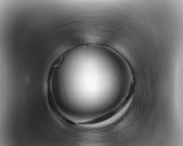 X0000088720630200706071620