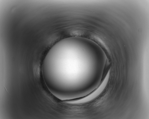 X0000088720637200706071620
