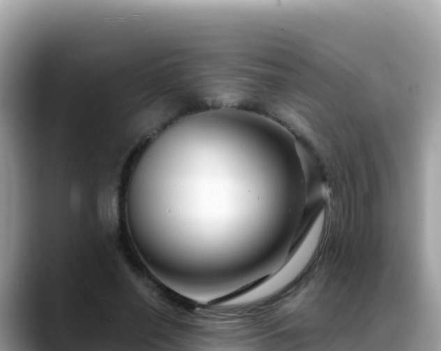 X0000088720638200706071620