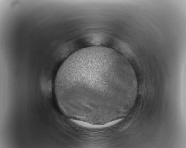 X0000088720646200706071621